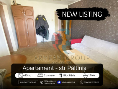 Apartament 2 camere, str Paltinis